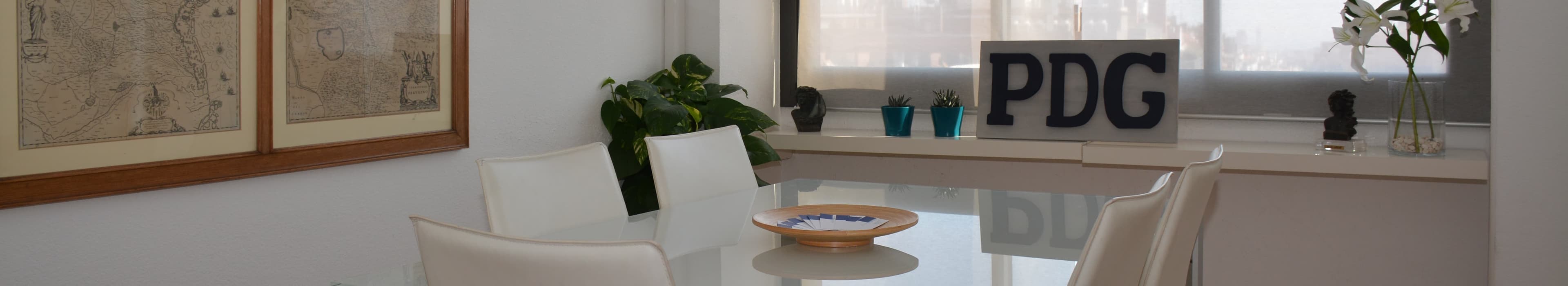 PdG Consultors - about